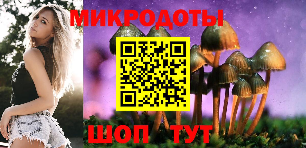Псилоцибиновые грибы мицелий Ковров